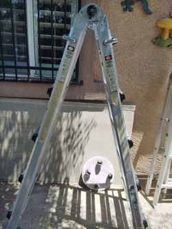 22 Foot Gorilla Ladder