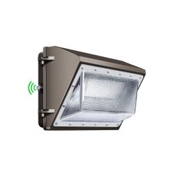 Security Light