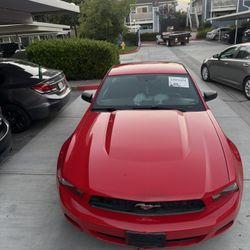 Mustang 2010 