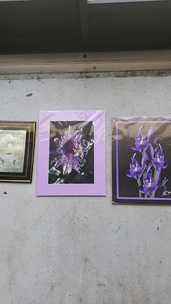 Pictures in great condition