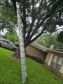 Ladder 28ft
