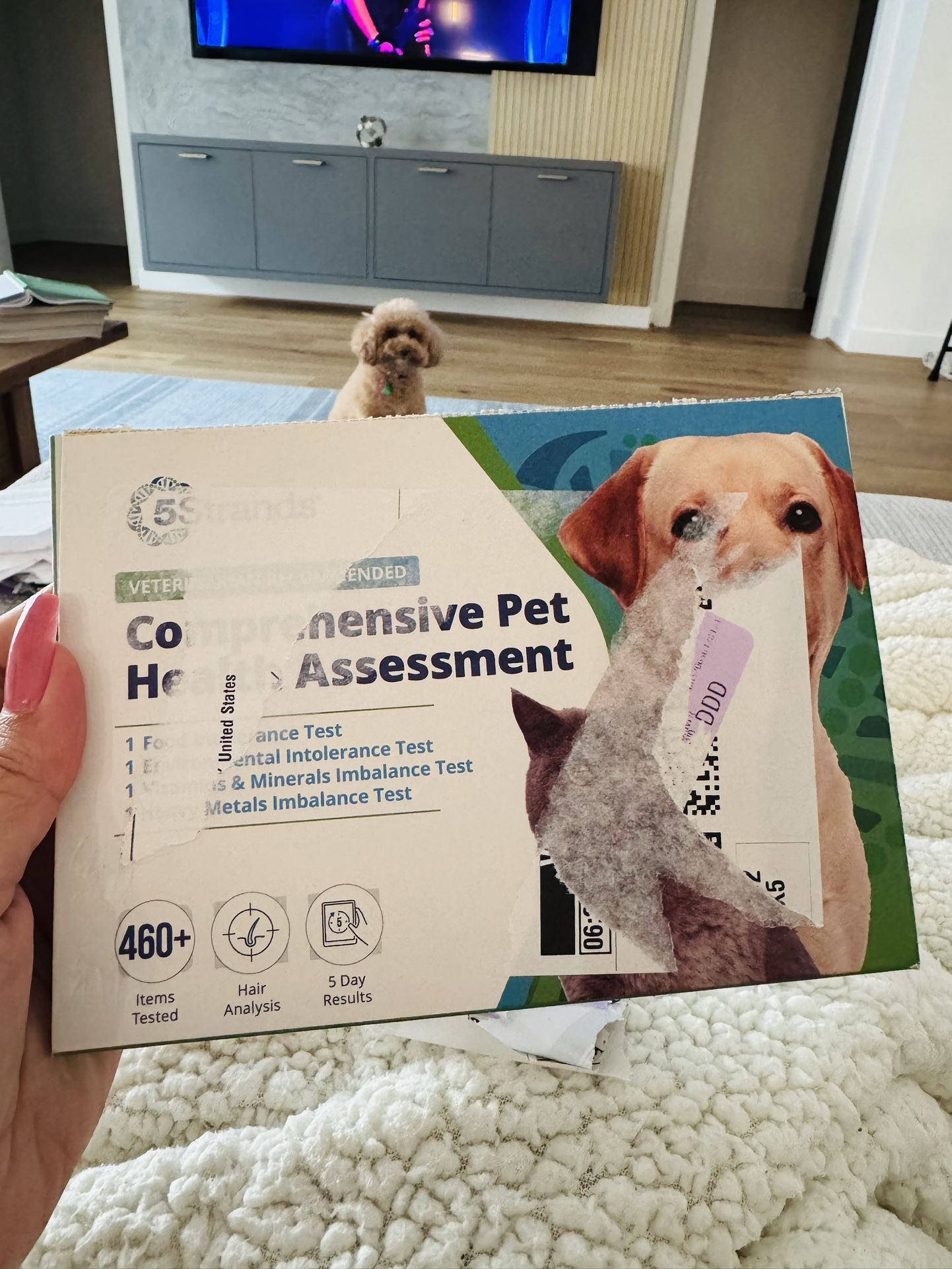 Pet Allergy Test - 5 Strands comprehensive pet health assessment