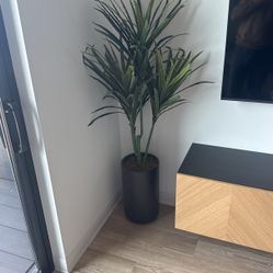 Indoor Plant (plastic) super Realistic