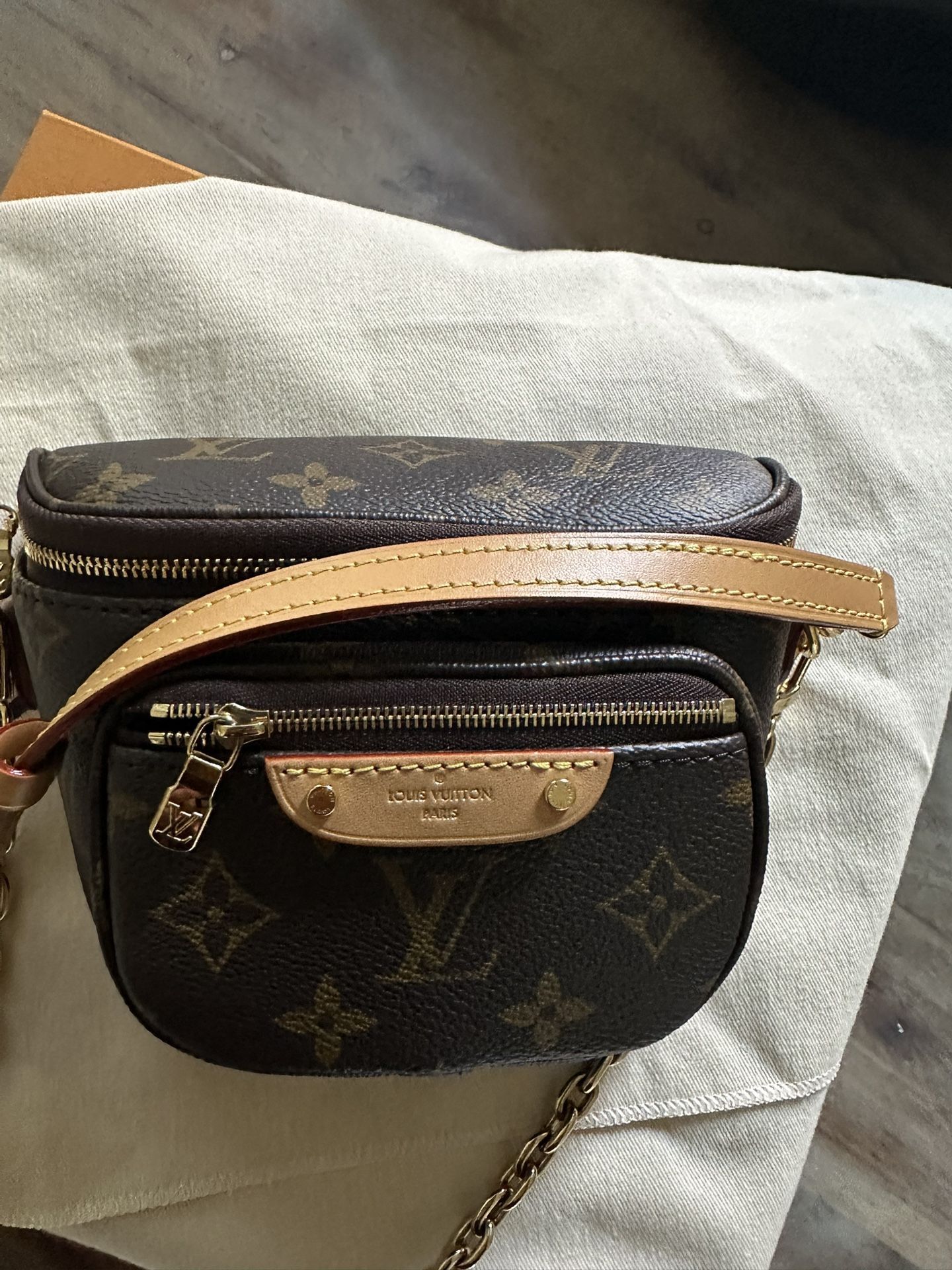 LOUIS VUITTON MINI BUM BAG