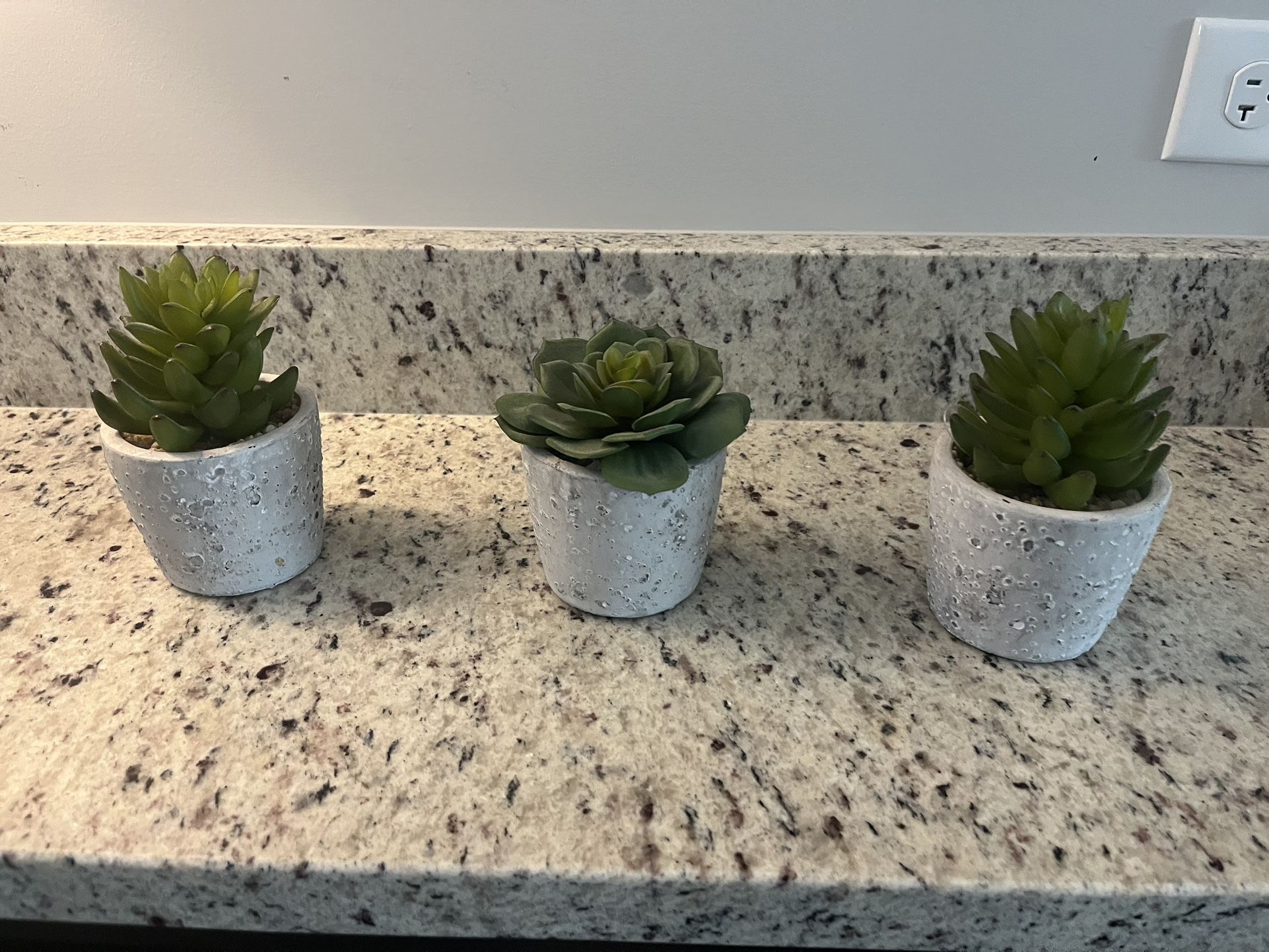 3 Decorative Faux Succulents 