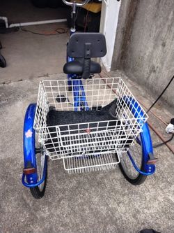 Adult Tricycle