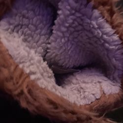 “FAKE DOG HAED NOT REAL”! GOLF CLUB PRODUCED!