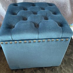 Sassy Storage Ottoman Storage 