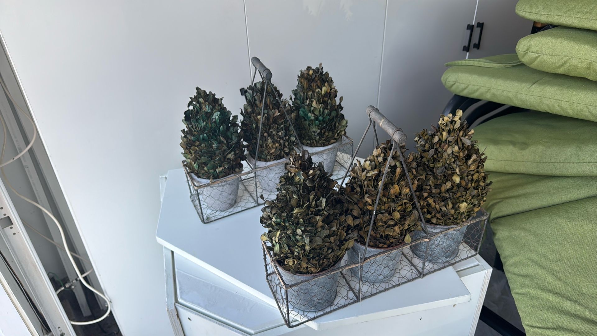 Decorative Small Dried Plants