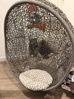 Hanging Egg Chair