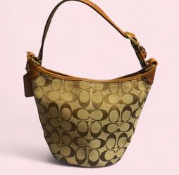 Vintage coach