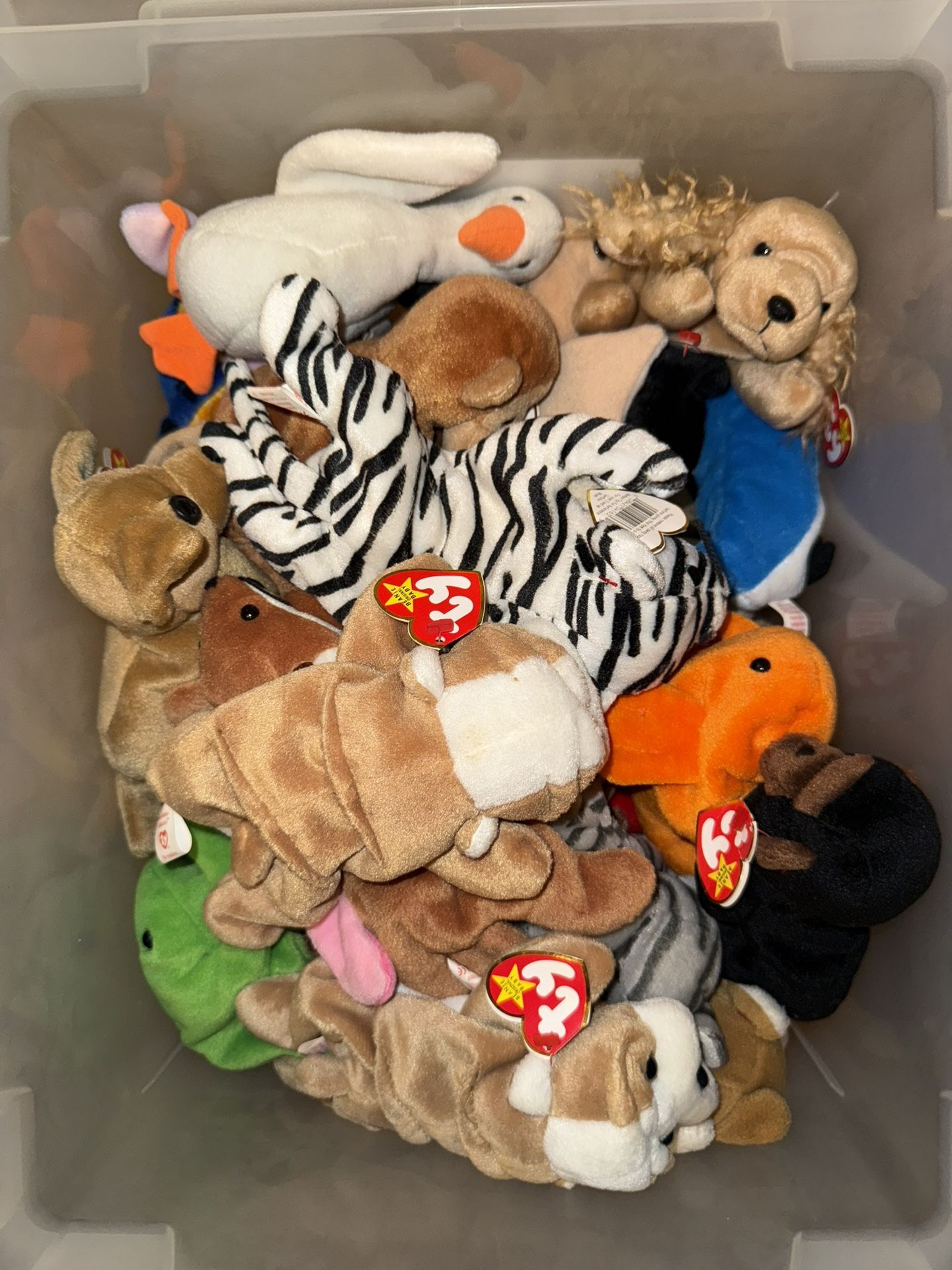 BEANIE BABIES -200 PCS @ $175. FOR ALL