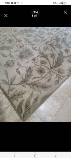 Beautiful area rug