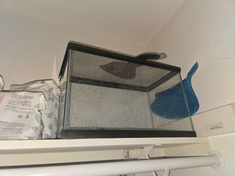 10-Gallon Terrarium/Aquarium