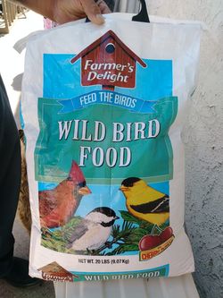 Bird Food