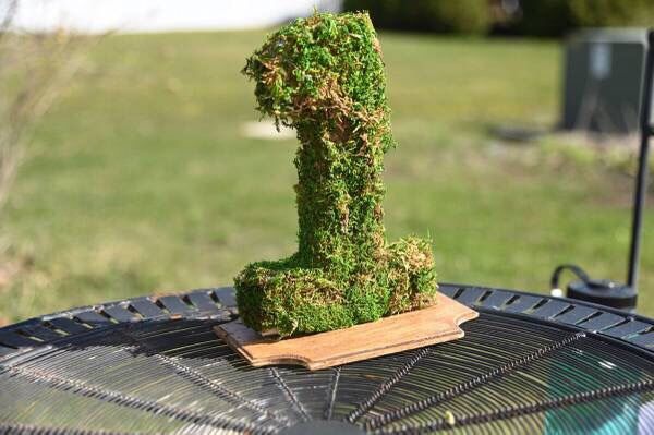 Moss Covered Wedding/ Outdoor Nature Event Table Numbers