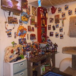 Marvel Collection Varieties 