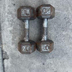 Gym Equipment 