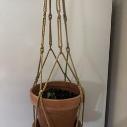 Plant Hanger 