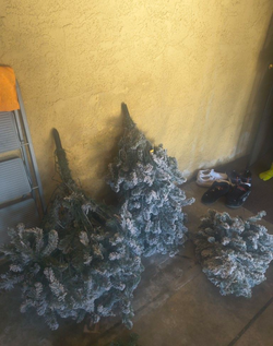 Christmas Tree with lights