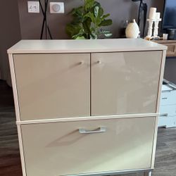 Vintage File Cabinet