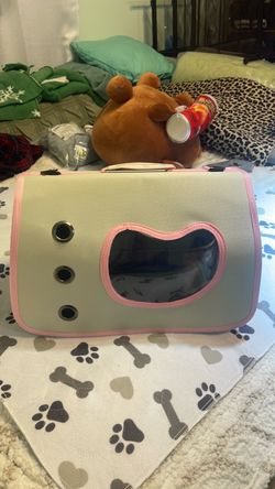 case travel for cat/dog