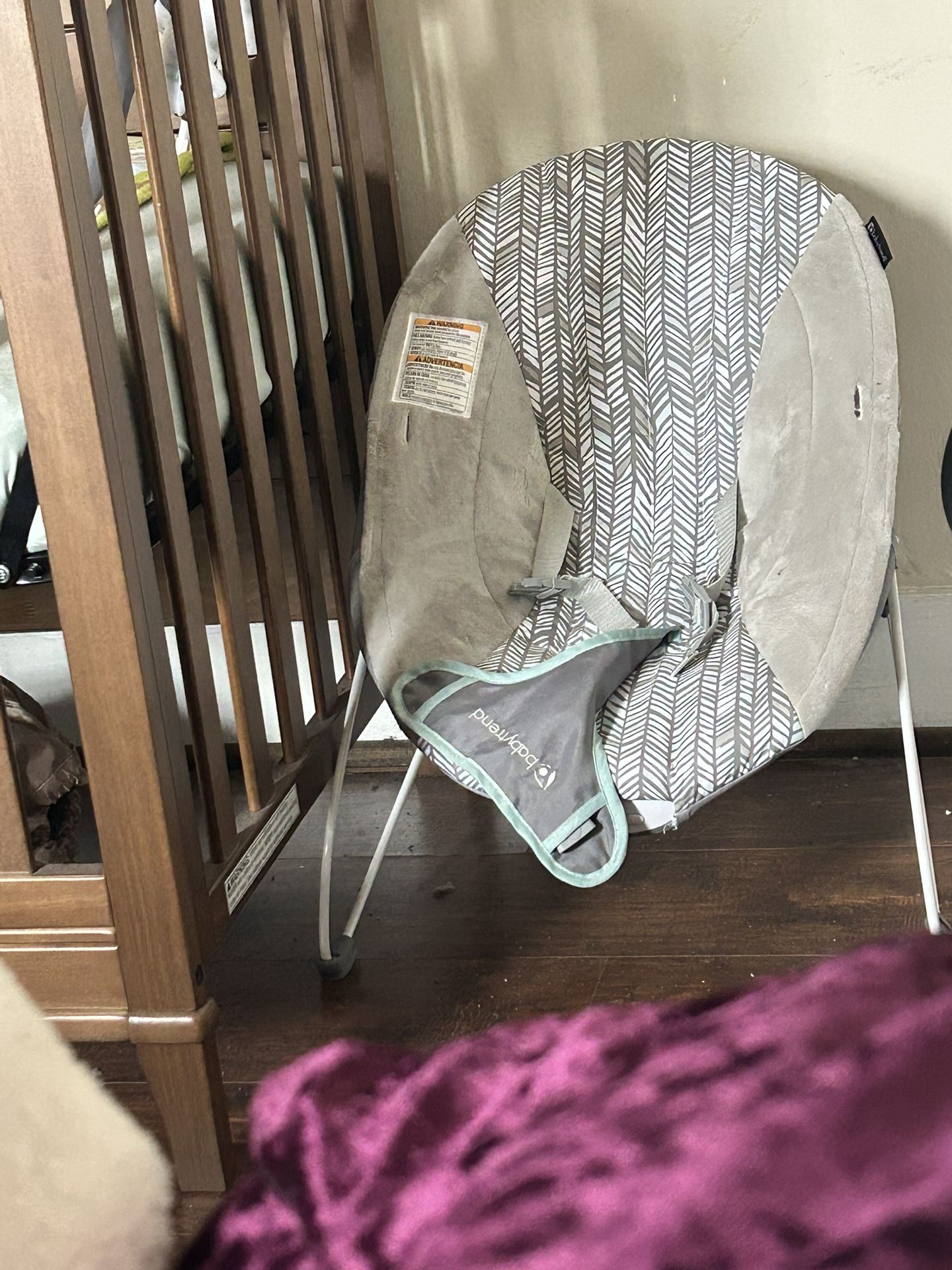 Baby Bouncer
