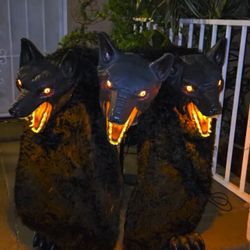 Halloween 3 Headed Dog/Wolves