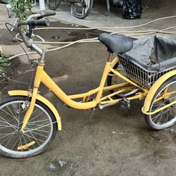 Tricycle