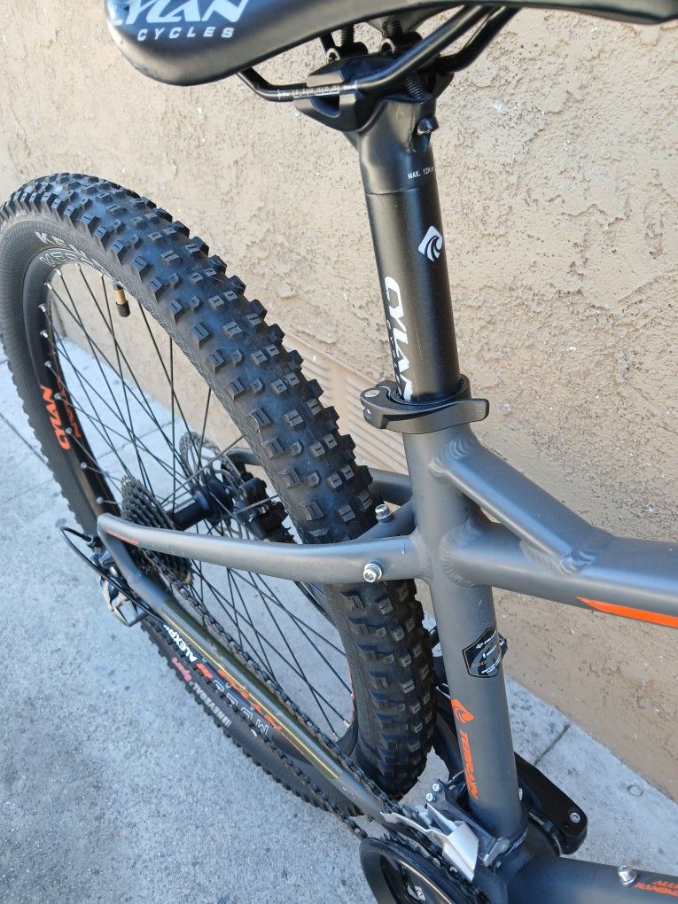 Mountain Bike