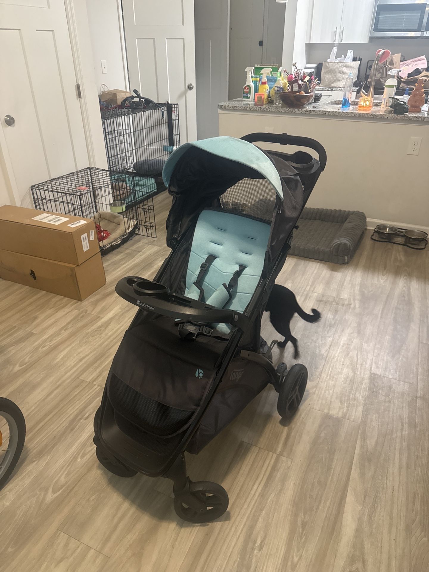 Baby Trend Tango Stroller
