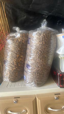 Dogfood