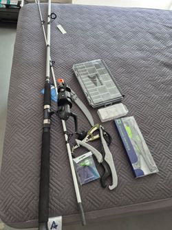 Fishing rod and fishing tackle