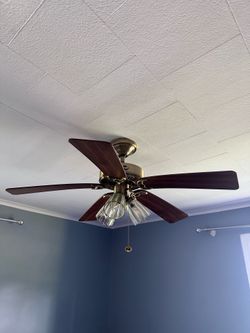 Fan