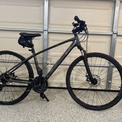 Trek FX1