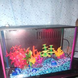 Top Fin Fish Or Reptile 3~Gallon Colorflow Lighting Aquarium 