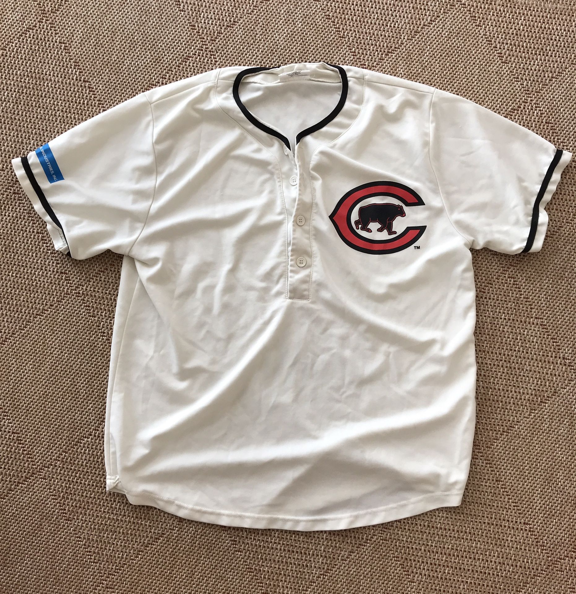 Cubs Jerseys Large