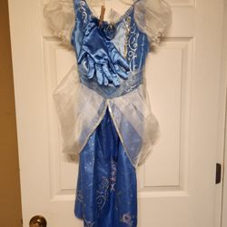 Disney Deluxe Cinderella Costume 