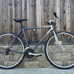 1996 Trek MultiTrack