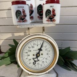 1930’s McKee Milk Glass Range Set