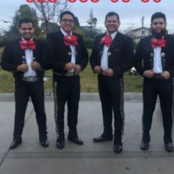 Vihuela Y Mariachi