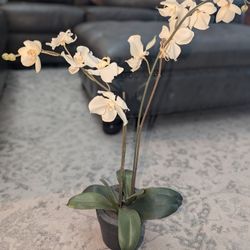 Fake White orchid flower Pot