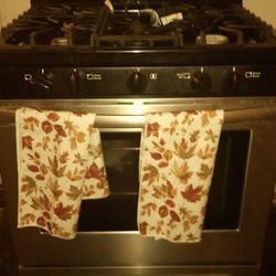 Frigidaire Stove 