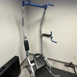PRO PT 600 Pull Up/ Dip Bar. 