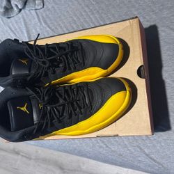 Jordan 12s 
