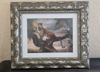 Leopard At Kora
