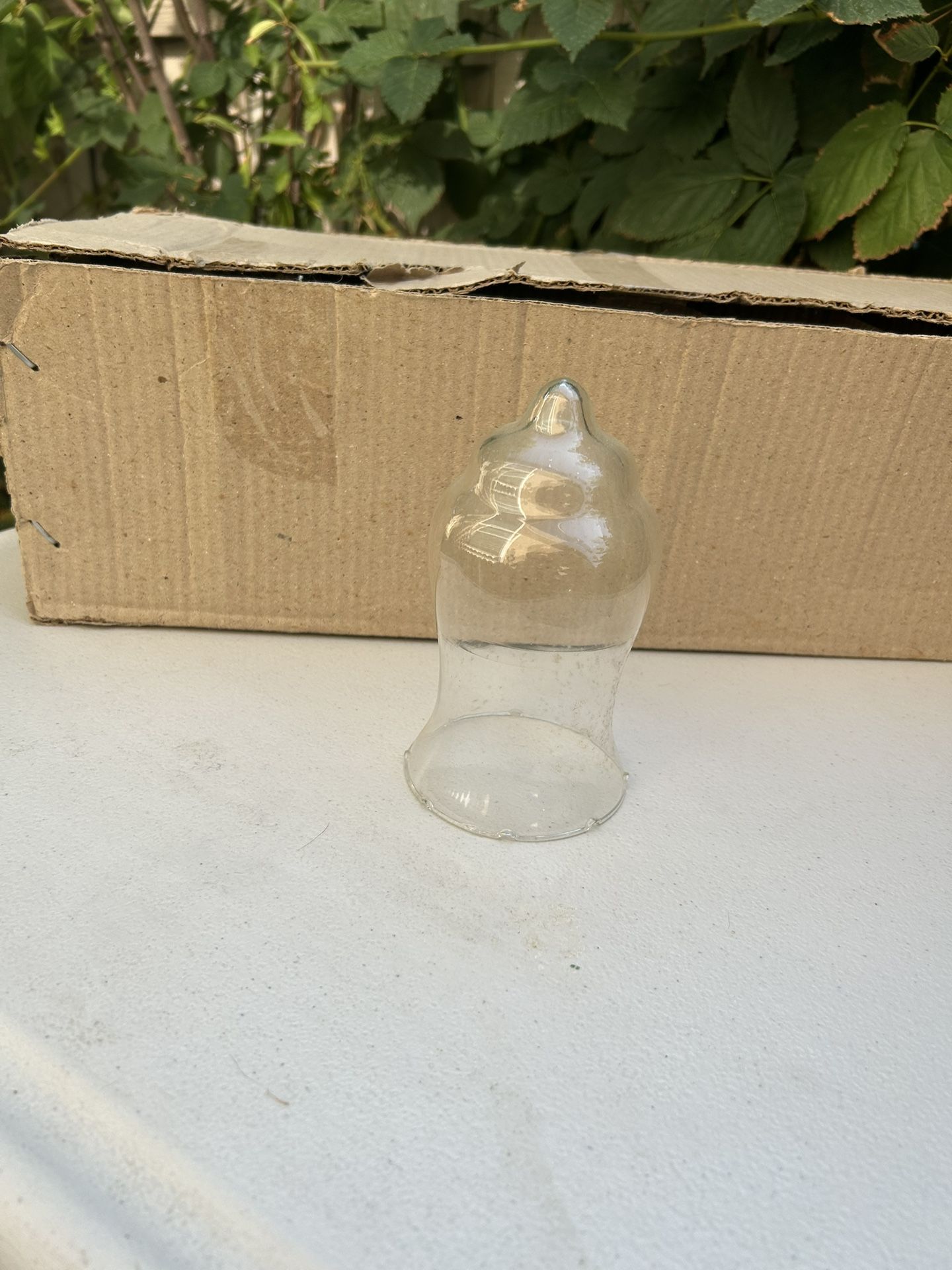 12 Pk Glass Candle Holder
