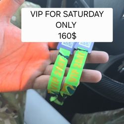 Apocalypse Zombie Land