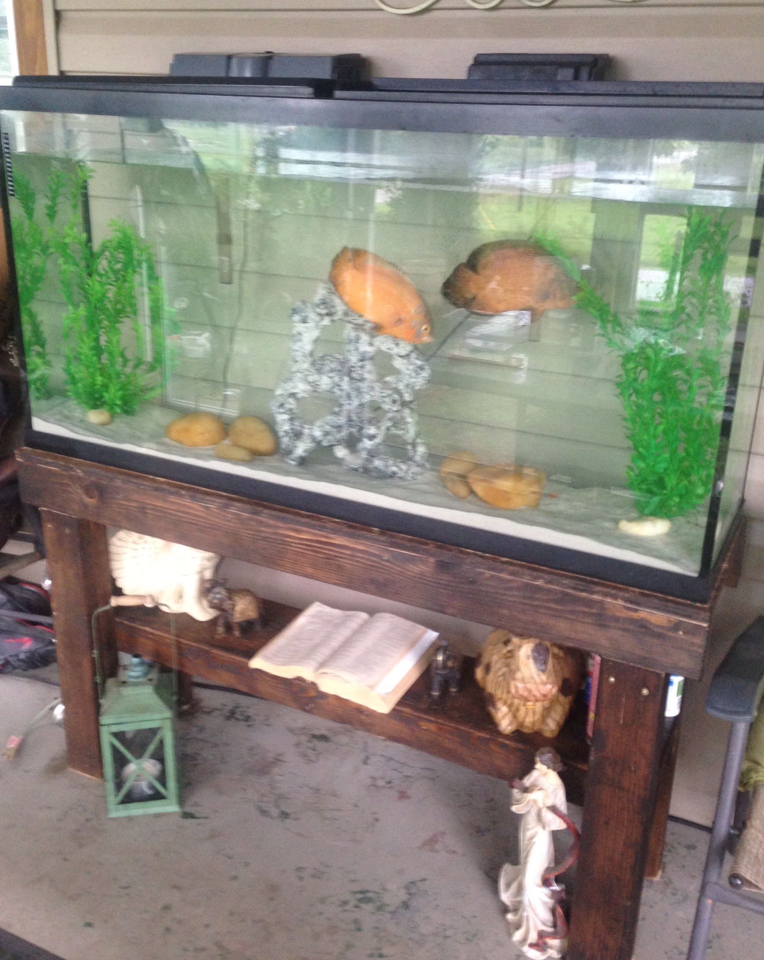 65” gal aquarium with stand