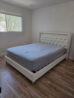 Queen Bed and Mattress